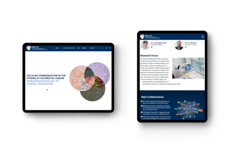 Websolutions für TRR 417 der Agentur Federmann und Kampcyzk design