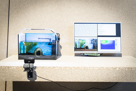 Dutch Design Week 2019 Federmann Kampczyk design
